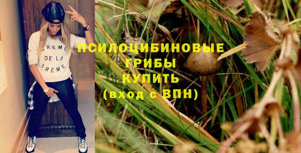 ALPHA PVP Заводоуковск