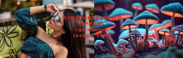 ALPHA PVP Заводоуковск