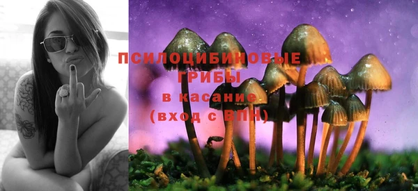 а пвп мука Заволжье